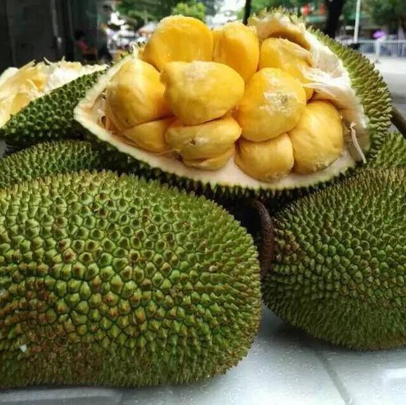 荼花怎么养殖方法:掌握技巧,让荼花绽放美丽