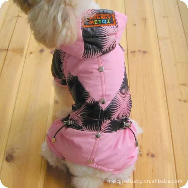 狗狗护理大全:养宠必备攻略